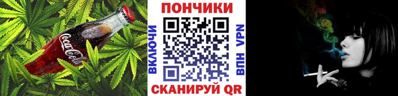 блэк спрут ссылки  Новороссийск  Cannafood марихуана 