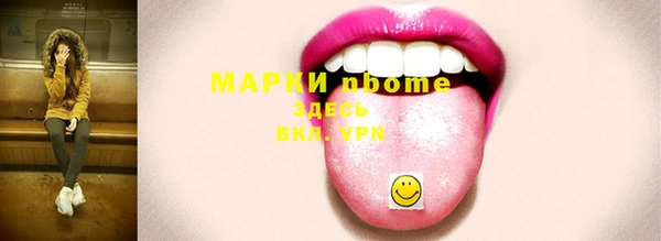 ешки Аркадак