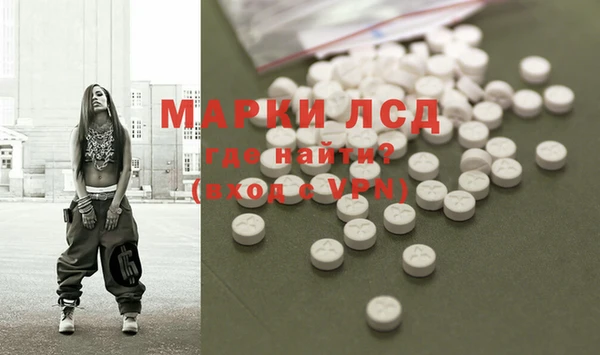 ешки Аркадак