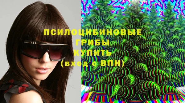 ешки Аркадак