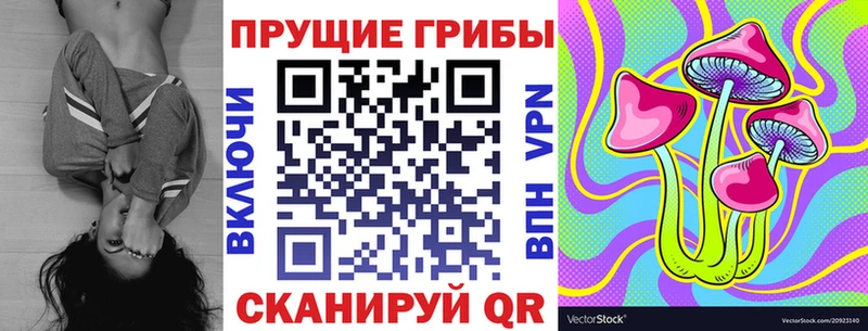 Галлюциногенные грибы Psilocybine cubensis  Новороссийск 