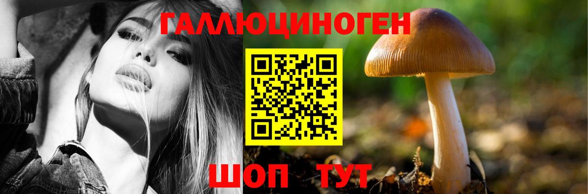 Новороссийск  Псилоцибиновые грибы GOLDEN TEACHER  где можно купить наркотик  Вход с VPN 