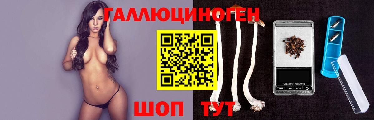 Галлюциногенные грибы мухоморы Новороссийск